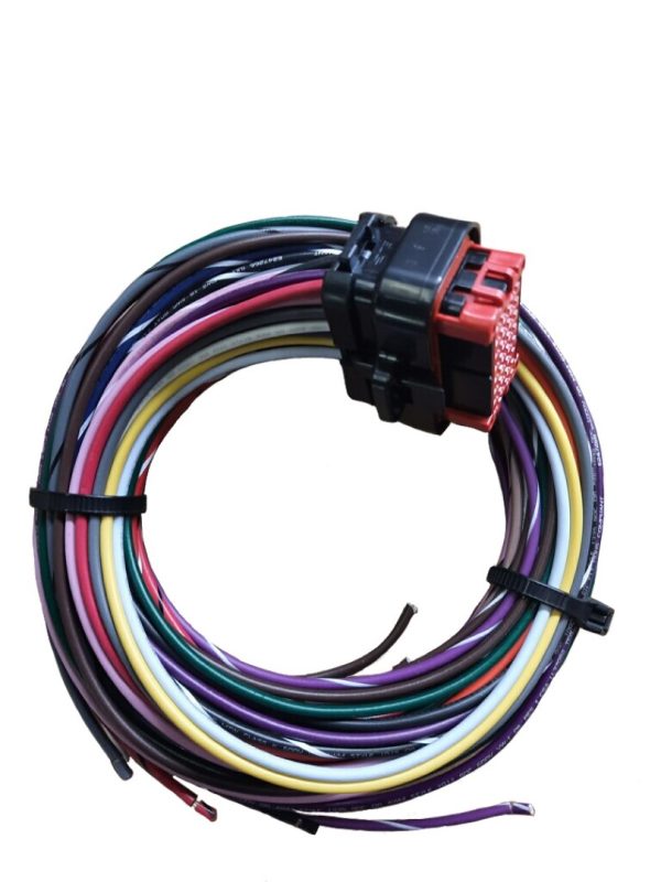 23-Pin AMP Plug with Pigtail for use with the XCT Yamaha G19 Controllers